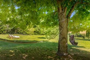 Les Vents Bleus - Jardin